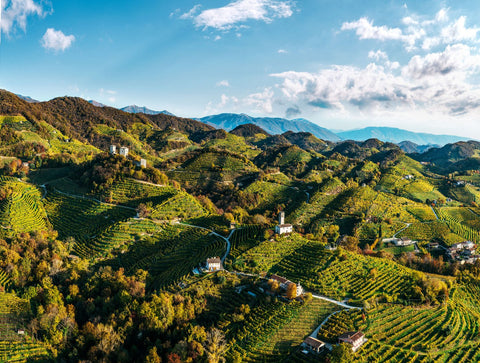 Prosecco Superiore 'RocciaMadre' DOCG Brut - Marchiori